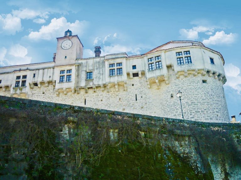 Schloss Pazin und Weinverkostung